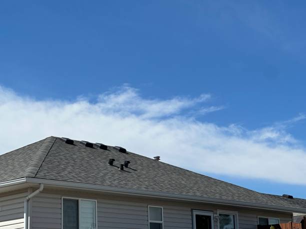 Best Metal Roofing Installation  in West Liberty, WV